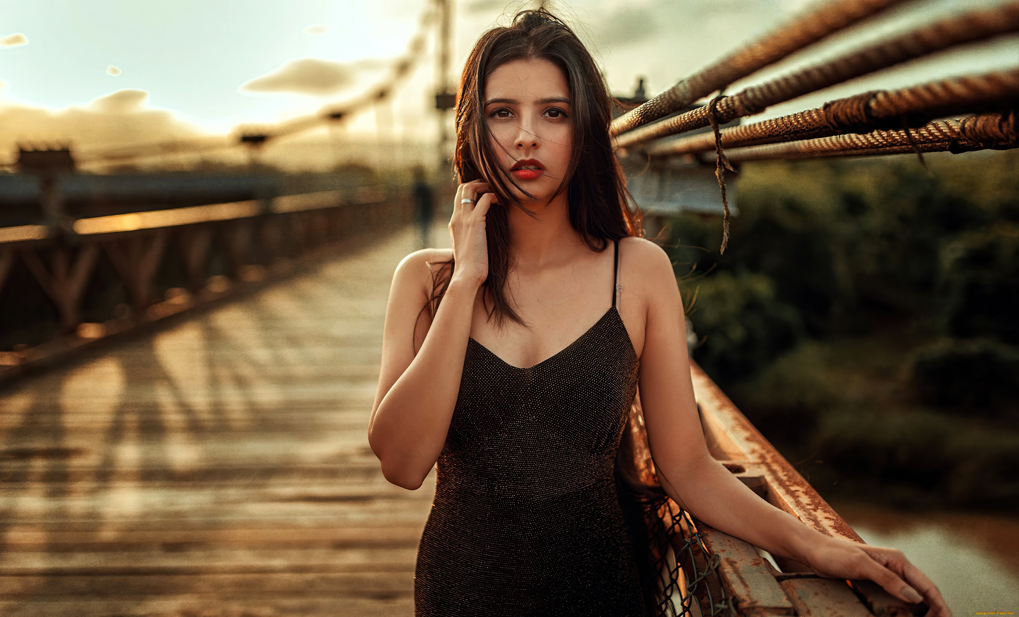 , - ,  , , , 